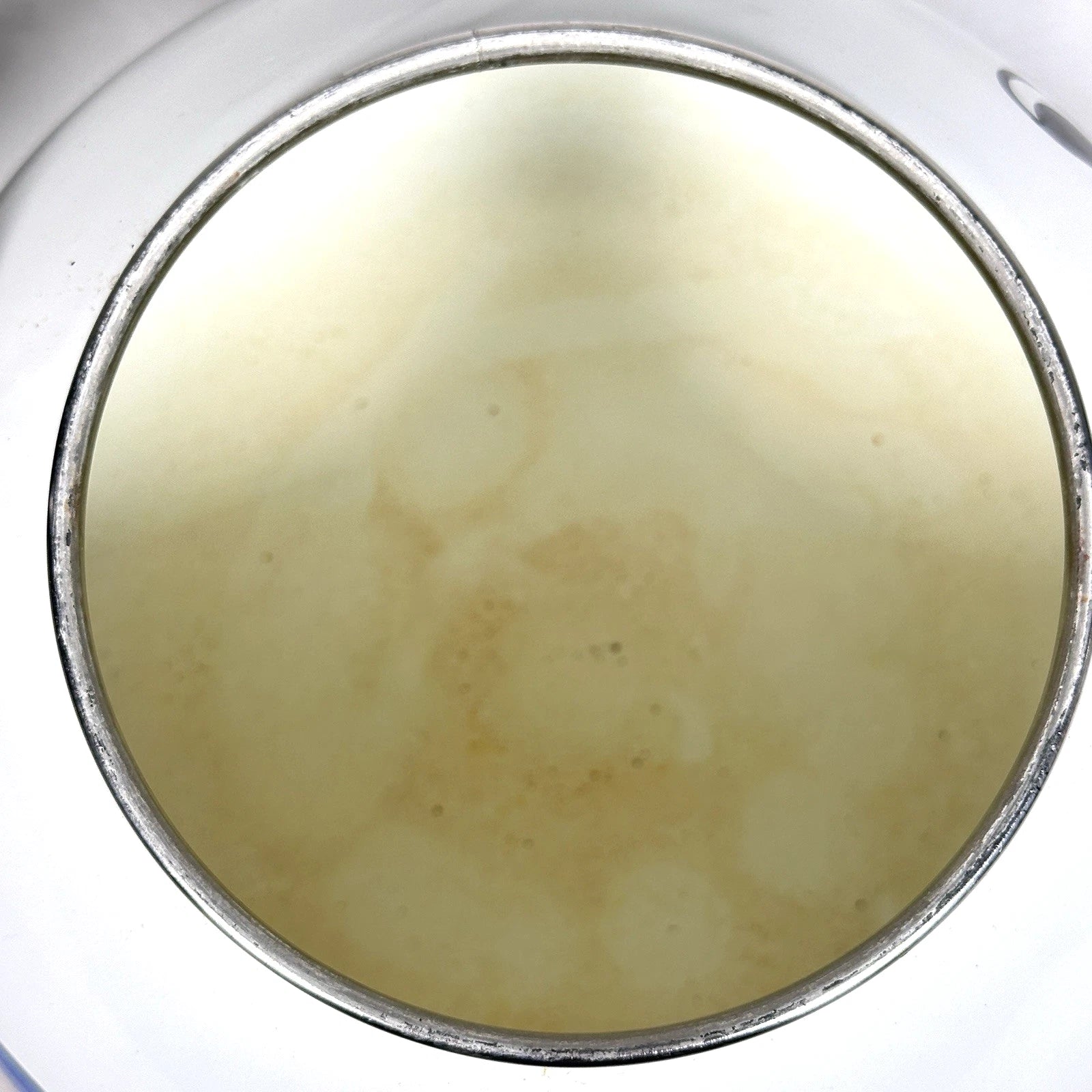 Vintage Kamenstein Fish Tea Kettle White Enamel MCM Tea Pot | eBay