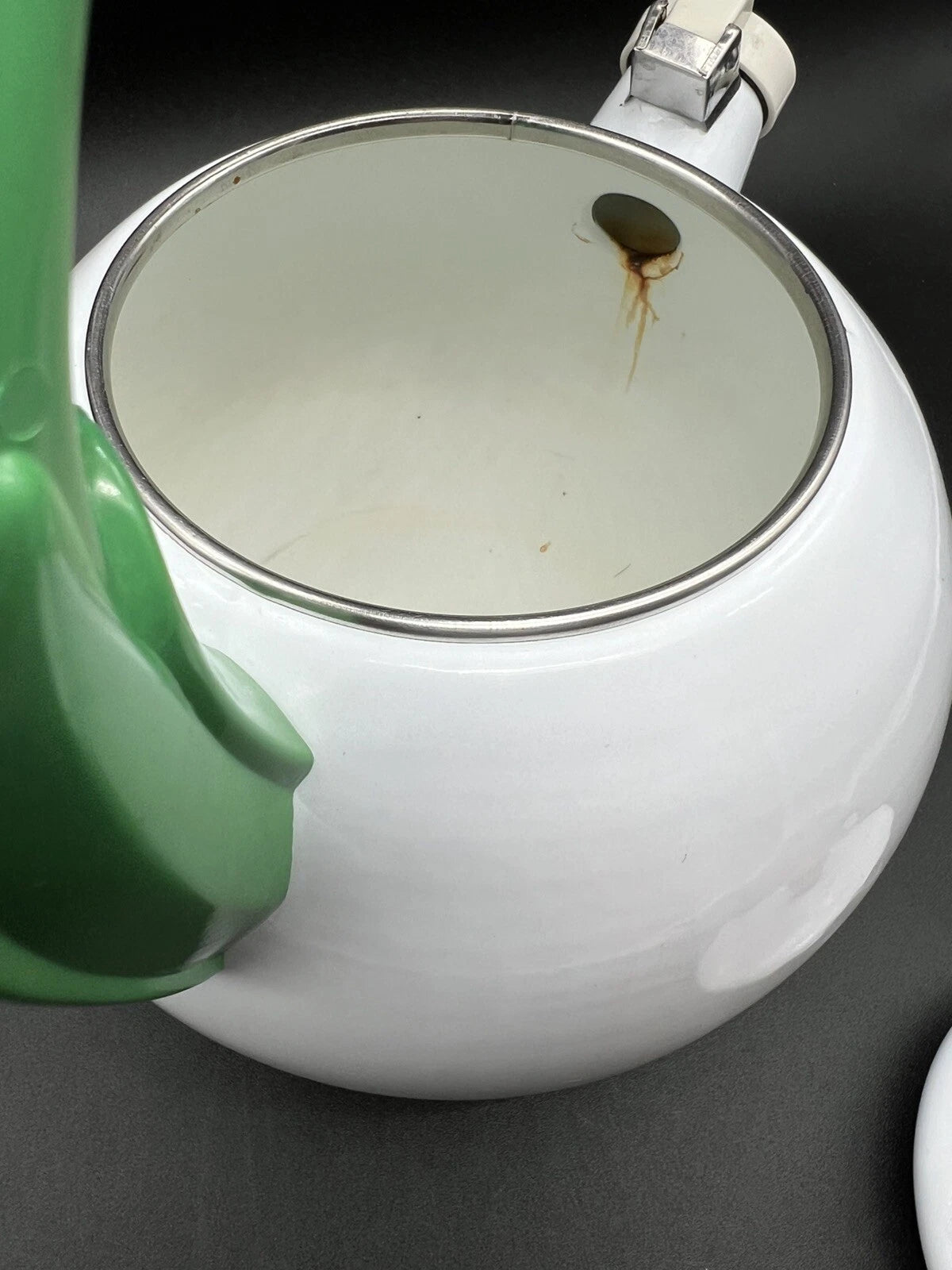 Enamel Metal Teapot Kettle With Tulips Handle And A Humming Bird. | eBay