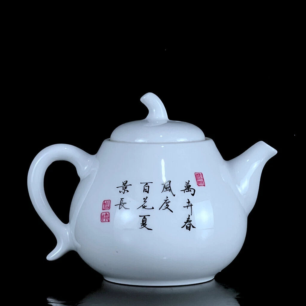 Chinese Enamel Colour Porcelain HandPainted Exquisite Flower&Plant Teapot 26552 | eBay