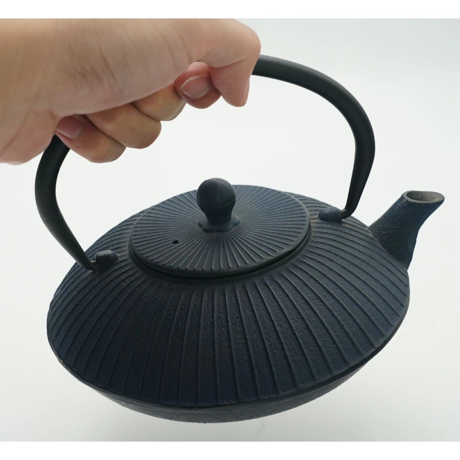 Dark Blue Cast Iron Teapot Porcelain Enamel Coating Inner Surface & Tea Strainer | eBay