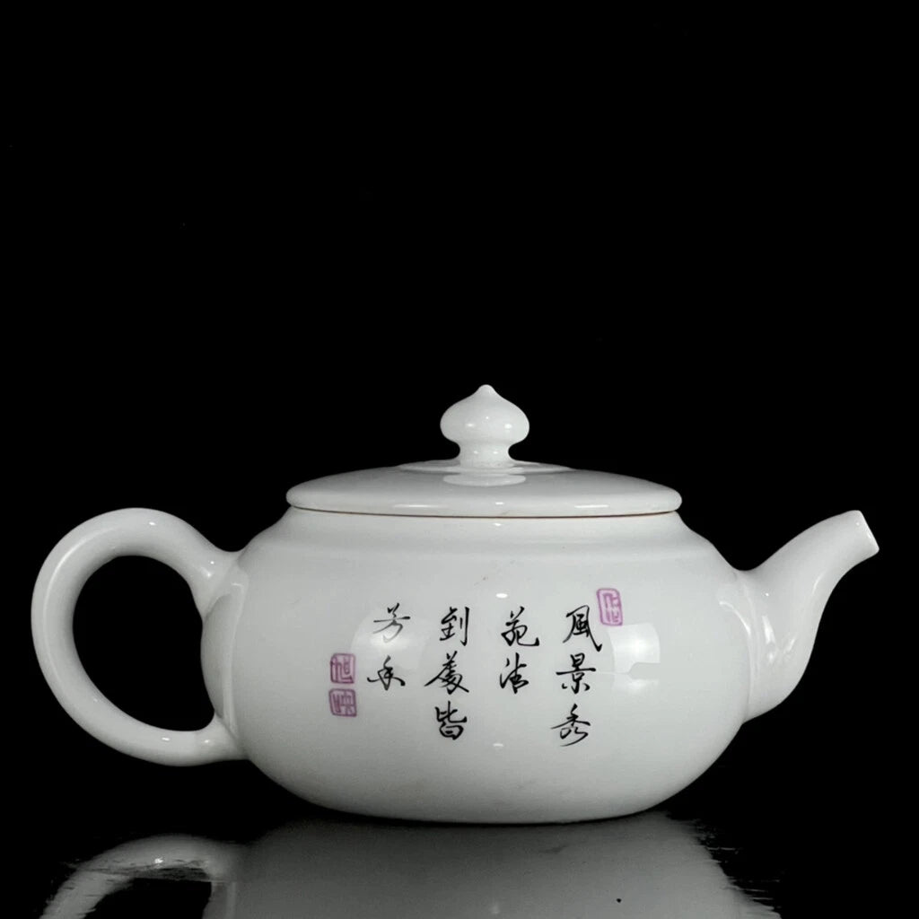 Chinese Enamel Colour Porcelain HandPainted Exquisite Flower&Plant Teapot 25065 | eBay