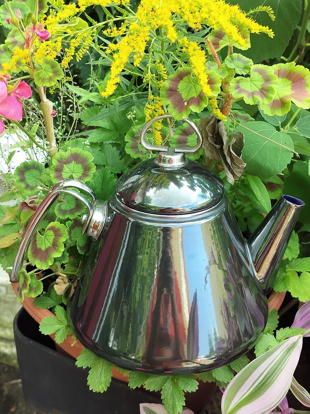 VTG Black Onyx Enamel on Steel-Chantal Tea Kettle/Teapot with Lid-VGC | eBay