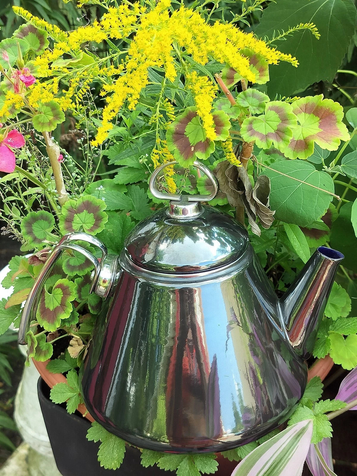 VTG Black Onyx Enamel on Steel-Chantal Tea Kettle/Teapot with Lid-VGC | eBay